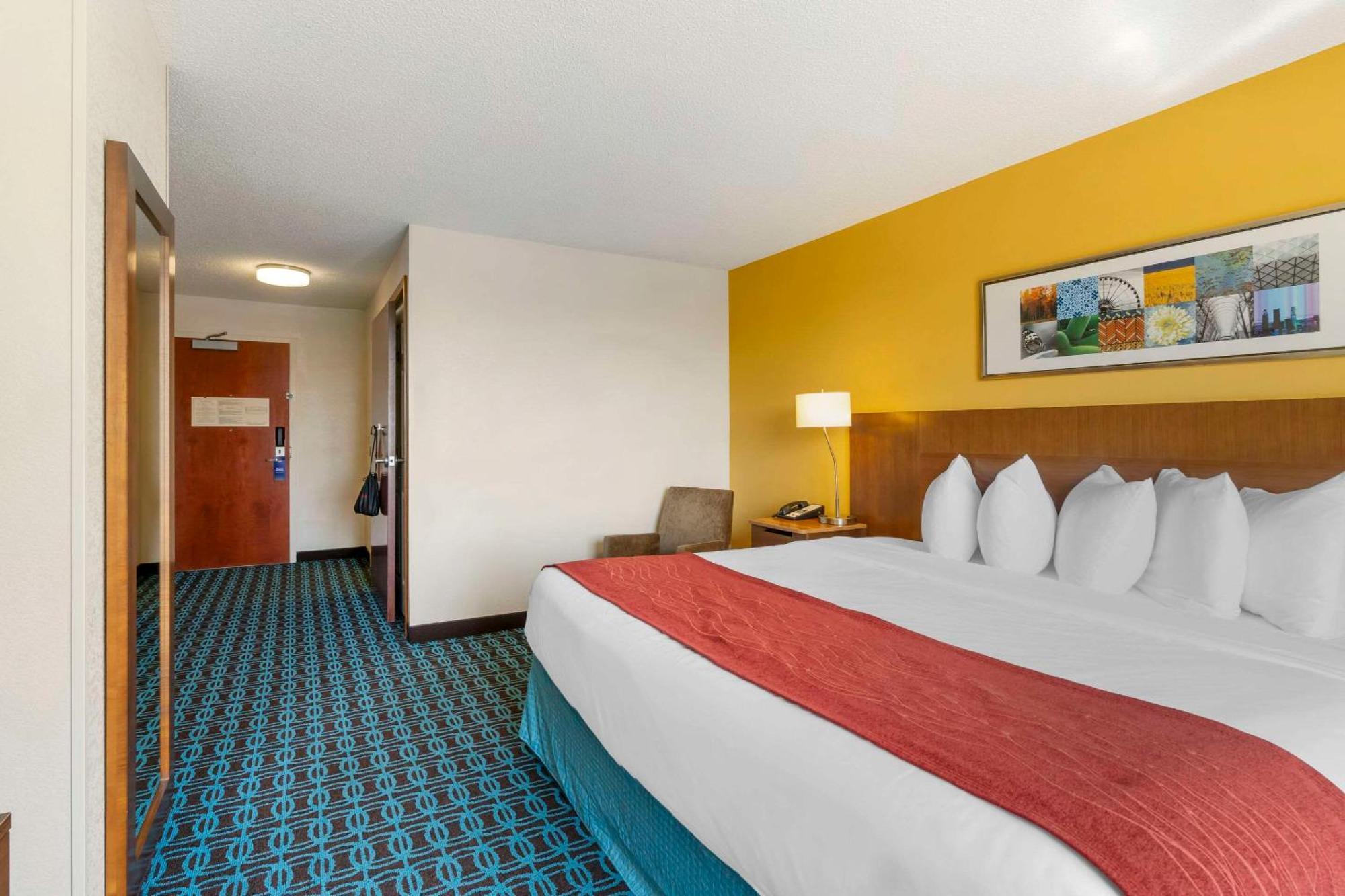 Comfort Inn & Suites Berea Esterno foto